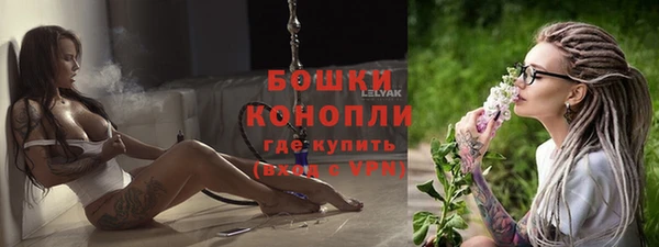 сатива Белоозёрский