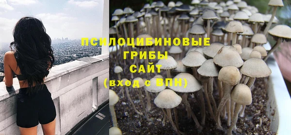 молекула духа Белокуриха